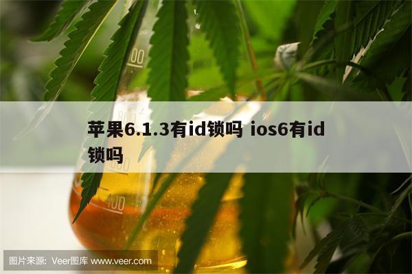 苹果6.1.3有id锁吗 ios6有id锁吗