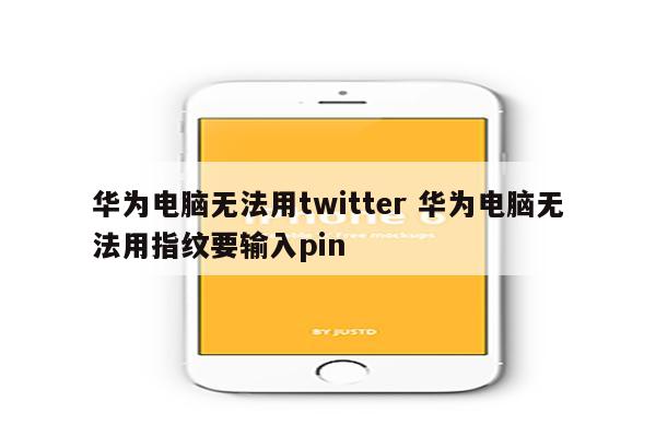 华为电脑无法用twitter 华为电脑无法用指纹要输入pin