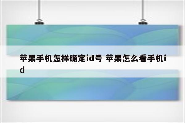苹果手机怎样确定id号 苹果怎么看手机id