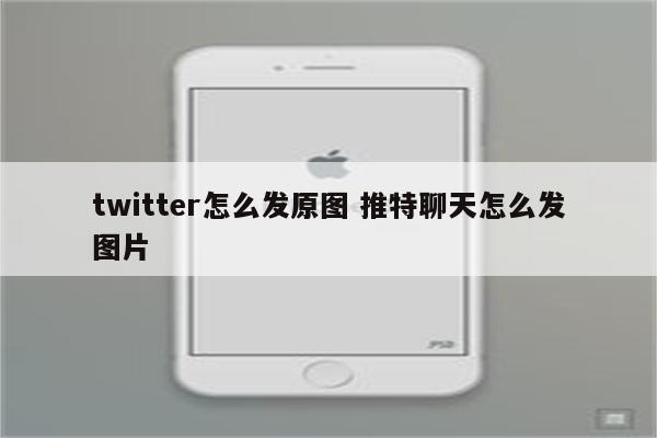 twitter怎么发原图 推特聊天怎么发图片