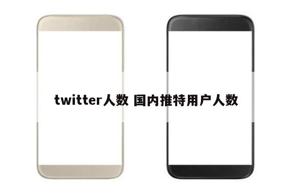 twitter人数 国内推特用户人数
