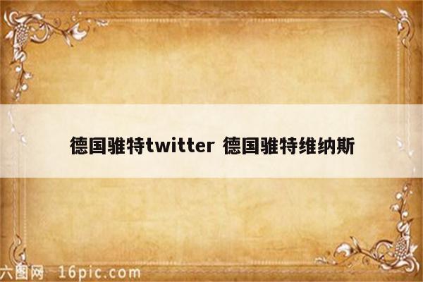 德国骓特twitter 德国骓特维纳斯