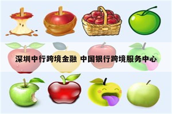深圳中行跨境金融 中国银行跨境服务中心
