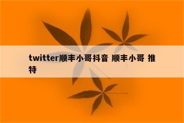 twitter顺丰小哥抖音 顺丰小哥 推特