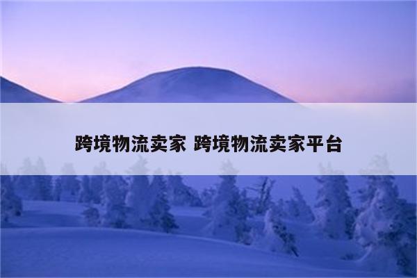 跨境物流卖家 跨境物流卖家平台