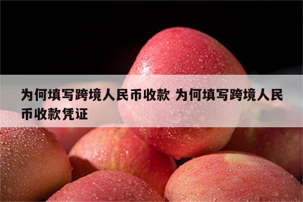 为何填写跨境人民币收款 为何填写跨境人民币收款凭证