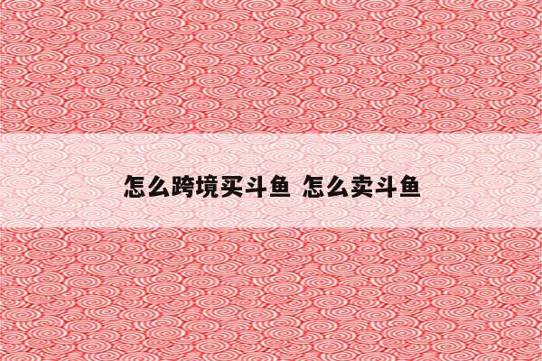 怎么跨境买斗鱼 怎么卖斗鱼