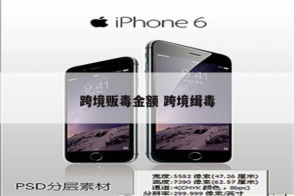 跨境贩毒金额 跨境缉毒
