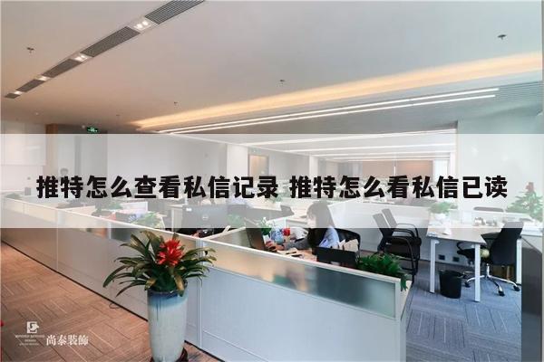 推特怎么查看私信记录 推特怎么看私信已读