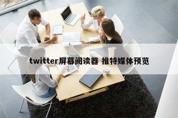 twitter屏幕阅读器 推特媒体预览