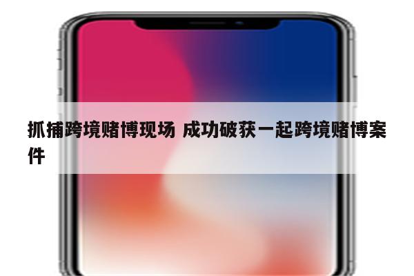 抓捕跨境赌博现场 成功破获一起跨境赌博案件