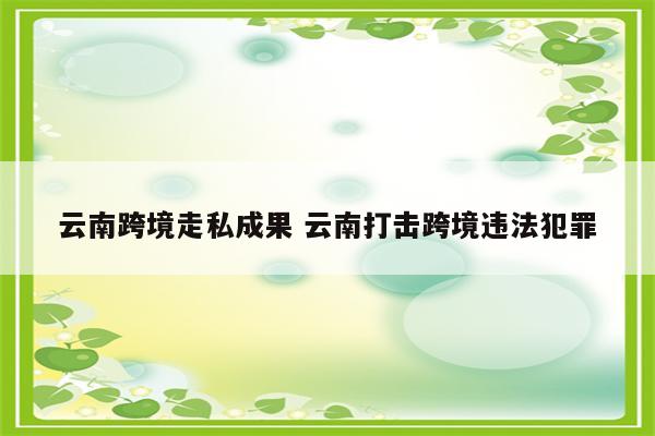 云南跨境走私成果 云南打击跨境违法犯罪