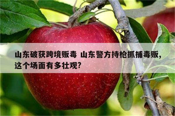 山东破获跨境贩毒 山东警方持枪抓捕毒贩,这个场面有多壮观?