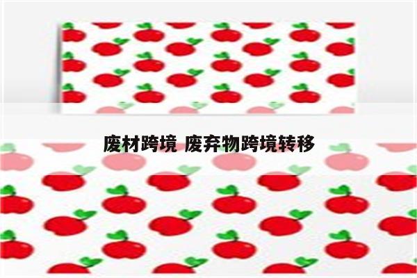 废材跨境 废弃物跨境转移