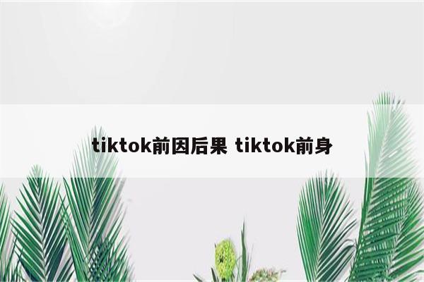 tiktok前因后果 tiktok前身