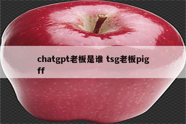 chatgpt老板是谁 tsg老板pigff