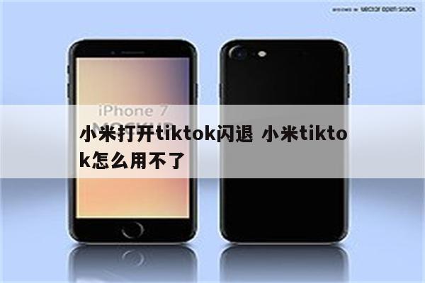 小米打开tiktok闪退 小米tiktok怎么用不了
