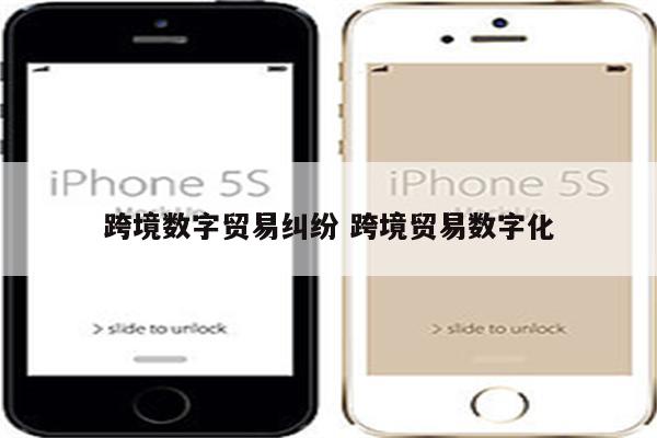跨境数字贸易纠纷 跨境贸易数字化