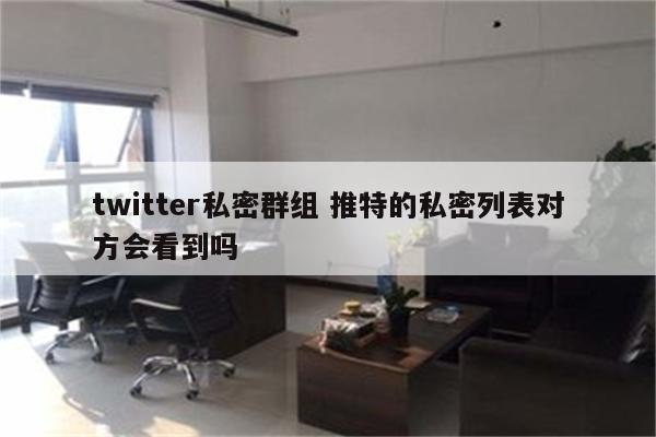 twitter私密群组 推特的私密列表对方会看到吗