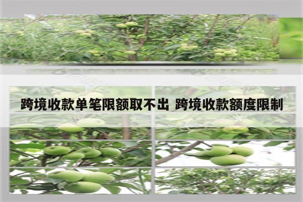 跨境收款单笔限额取不出 跨境收款额度限制