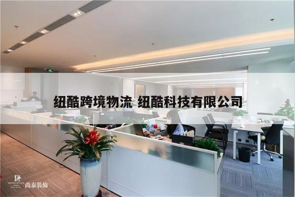 纽酷跨境物流 纽酷科技有限公司