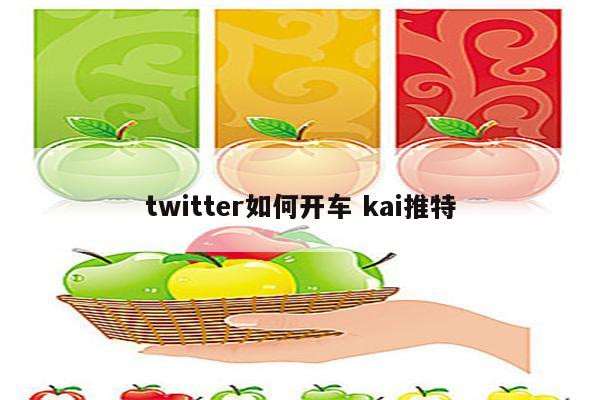 twitter如何开车 kai推特