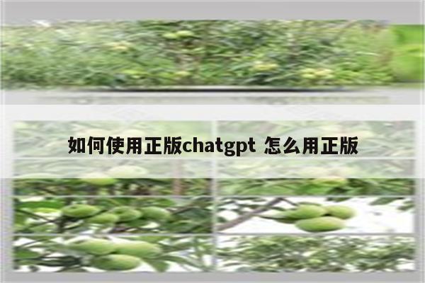 如何使用正版chatgpt 怎么用正版