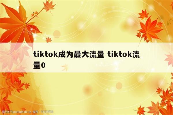 tiktok成为最大流量 tiktok流量0