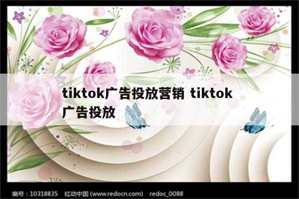 tiktok广告投放营销 tiktok 广告投放