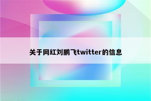 关于网红刘鹏飞twitter的信息