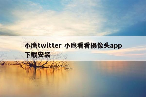 小鹰twitter 小鹰看看摄像头app下载安装