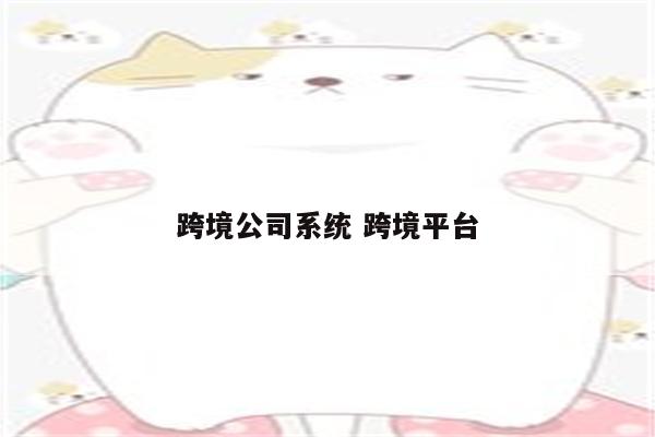 跨境公司系统 跨境平台