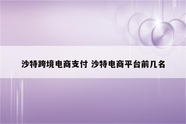 沙特跨境电商支付 沙特电商平台前几名