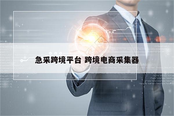 急采跨境平台 跨境电商采集器