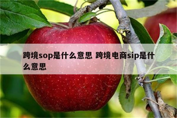 跨境sop是什么意思 跨境电商sip是什么意思