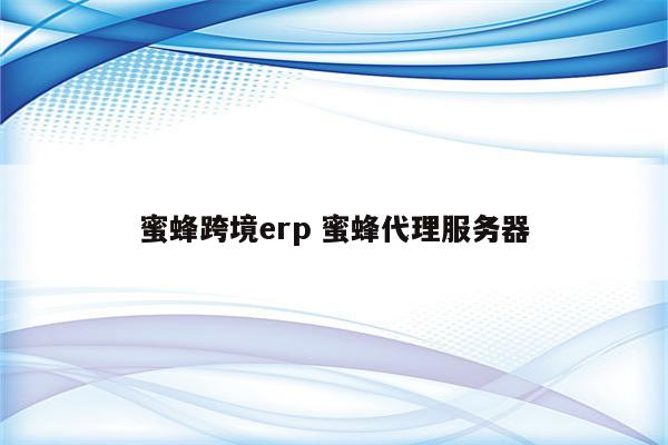 蜜蜂跨境erp 蜜蜂代理服务器