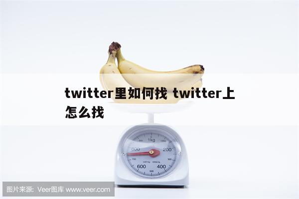 twitter里如何找 twitter上怎么找