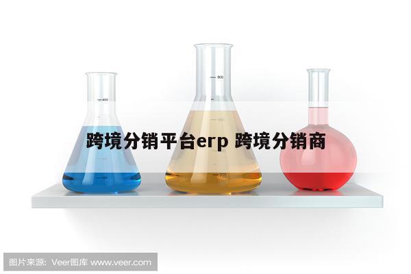 跨境分销平台erp 跨境分销商