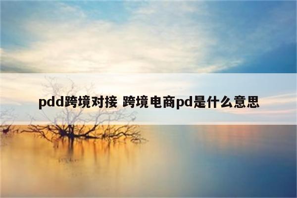 pdd跨境对接 跨境电商pd是什么意思