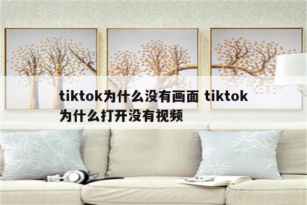 tiktok为什么没有画面 tiktok为什么打开没有视频