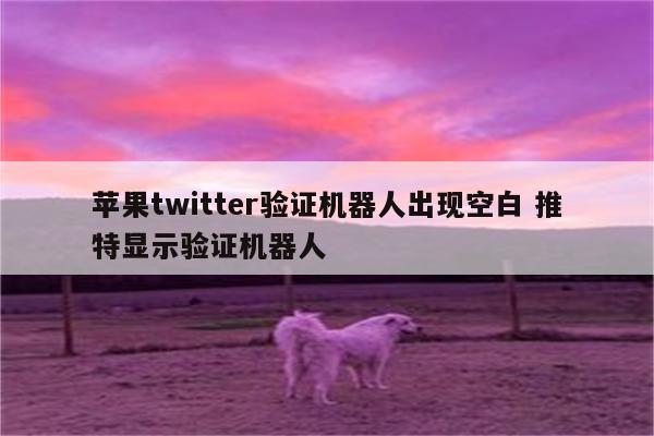 苹果twitter验证机器人出现空白 推特显示验证机器人