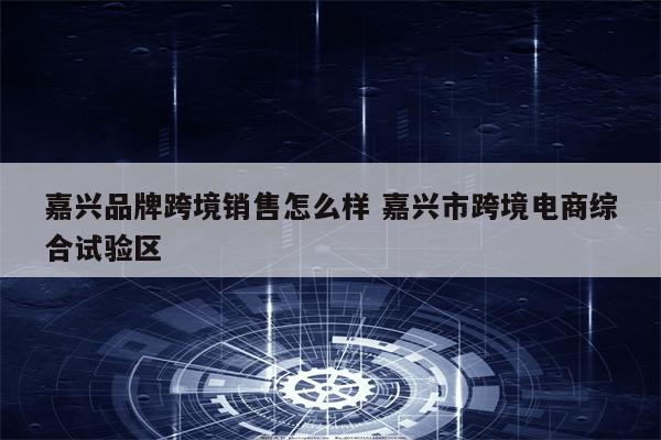 嘉兴品牌跨境销售怎么样 嘉兴市跨境电商综合试验区