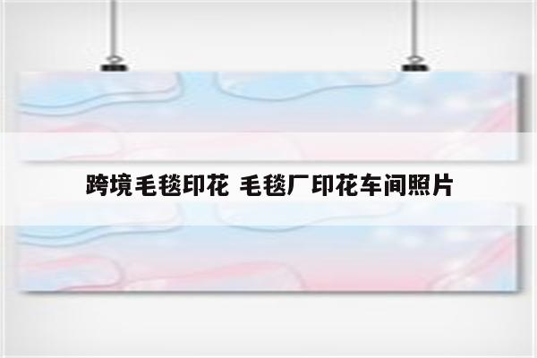 跨境毛毯印花 毛毯厂印花车间照片