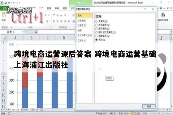 跨境电商运营课后答案 跨境电商运营基础 上海浦江出版社