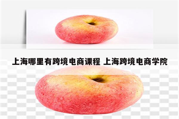 上海哪里有跨境电商课程 上海跨境电商学院