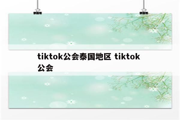 tiktok公会泰国地区 tiktok 公会