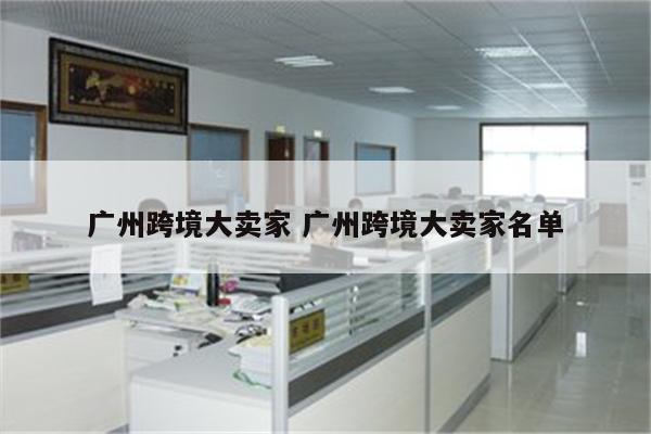 广州跨境大卖家 广州跨境大卖家名单