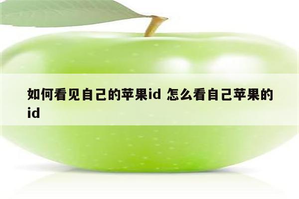 如何看见自己的苹果id 怎么看自己苹果的id