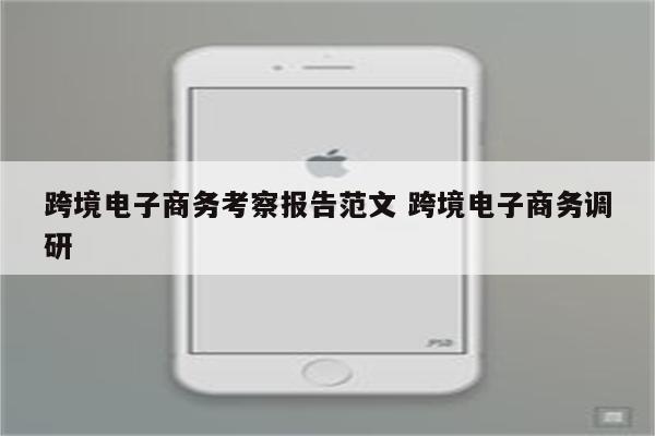 跨境电子商务考察报告范文 跨境电子商务调研