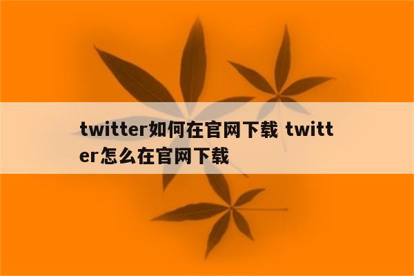 twitter如何在官网下载 twitter怎么在官网下载